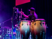 Robert-Lettner-Musikpics-Live-Music-Photography-Jarmo-Saari-Republic-DSC01227