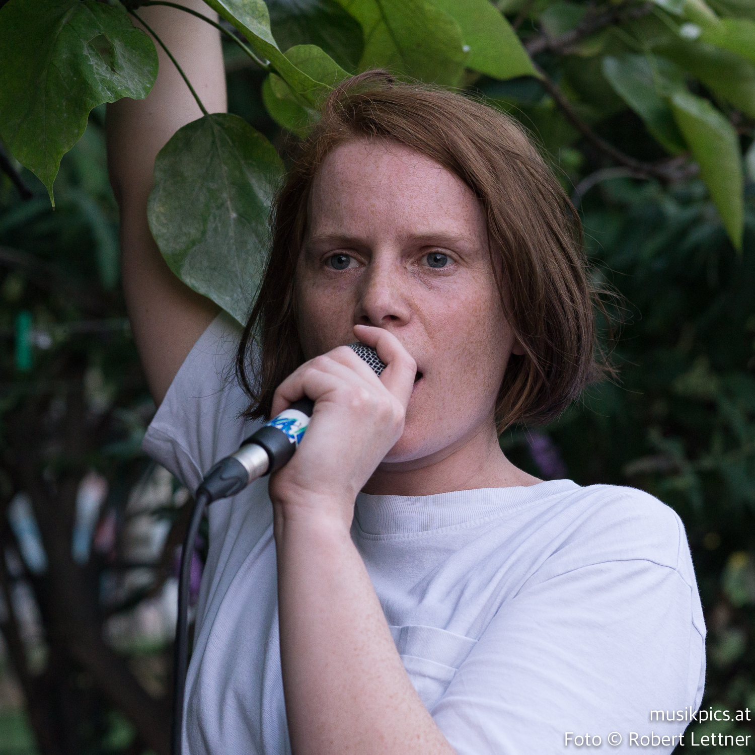 Lime Crush musikpics.at